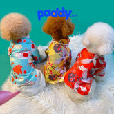 Áo Dài Tết Cho Chó Mèo Vải Lụa - Paddy Pet Shop